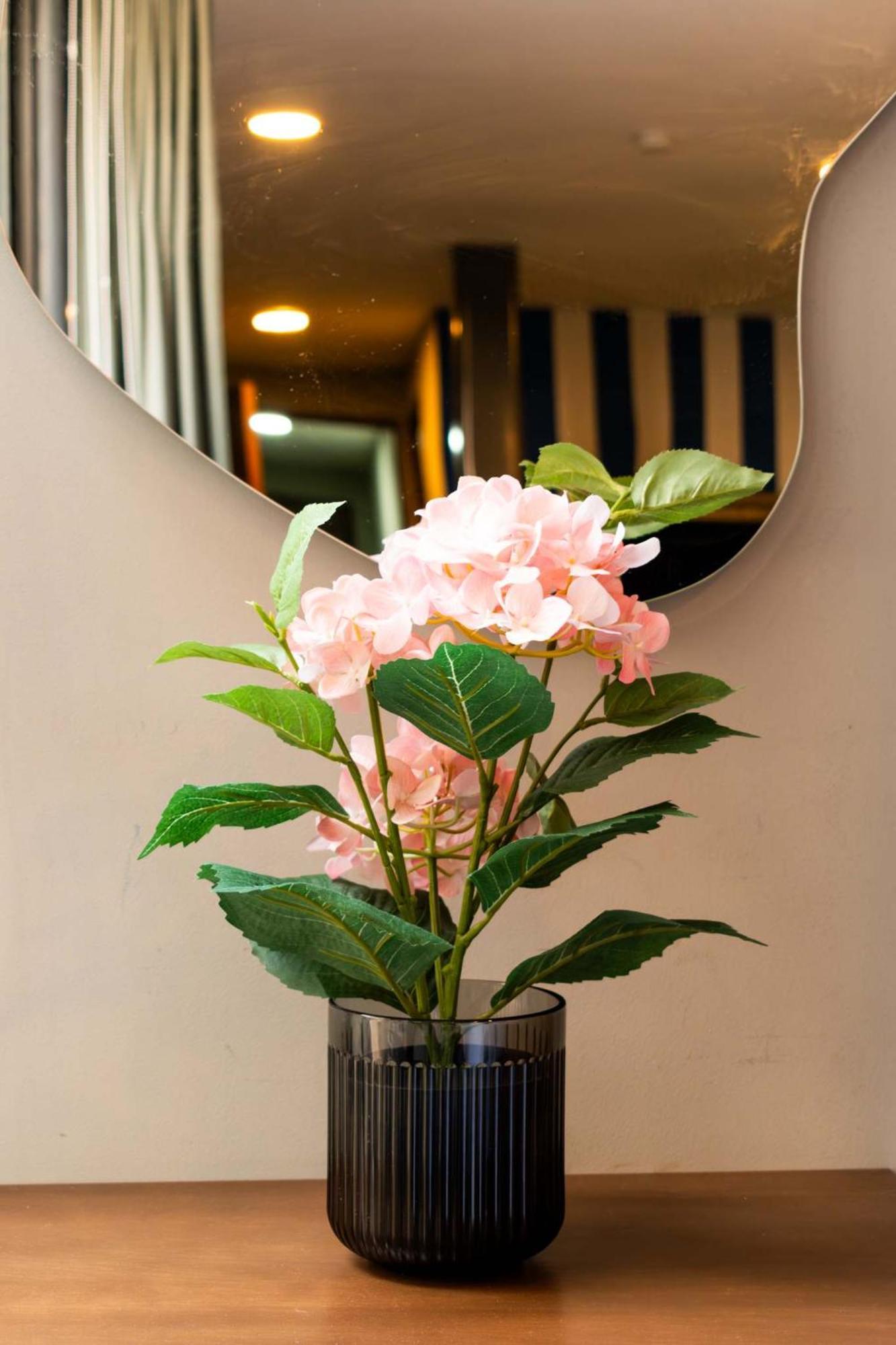 Super Loft Con Gran Ubicacion En La Condesa Gasthof